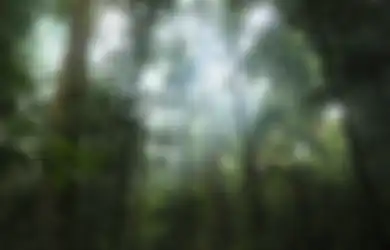 Boyong Istrinya Tinggal di Hutan Belantara, Pria Ini Beberkan Alasan Tak Disangka Pilih Menetap di Hutan, Terungkap Cara Mereka Bertahan Hidup Selama 15 Tahun