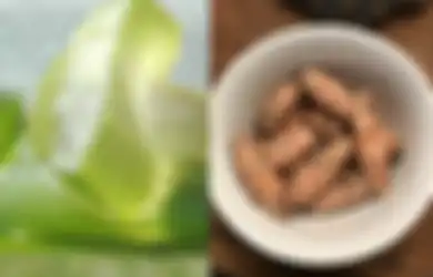 Oleskan Campuran Kunyit dan Gel Lidah Buaya Sebelum Tidur, Inilah 3 Resep Mengatasi Wasir secara Alami