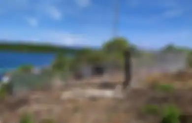 Operasikan BTS USO di Pelosok, Jaringan 4G XL Axiata Ada di Maluku dan Papua