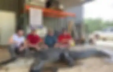 Setelah Dipotong, Benda Misterius Milik Suku Asli Amerika Berusia 8.000 Tahun Ini Ditemukan di Dalam Perut Buaya Sepanjang 4 Meter, Kok Bisa?