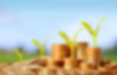 Nyesel Baru Tahu, Enggak Perlu Modal Besar, 3 Investasi Menjanjikan Ini Bisa Kamu Mulai dengan Uang Rp10000