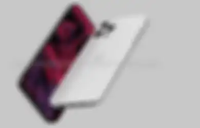 Tampilan Panel Layar iPhone 14 Pro Beredar di Internet, Punya Desain Baru Tanpa Notch!