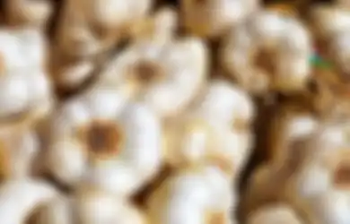 Sampai Dibuktikan oleh Penelitian, Ahli Ungkapkan Ada Kabar Baik Bagi Mereka yang Alami Rematik Tapi Suka Konsumsi Bawang Putih, Berikut Penjelasannya