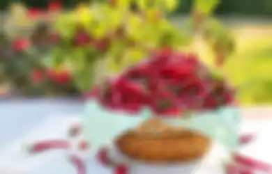 Bikin Pecinta Makanan Pedas Loncat Kegirangan, Cabai Ternyata Punya Khasiat Luar Biasa untuk Kesehatan Tubuh, Salah Satunya Bisa Lawan Kanker