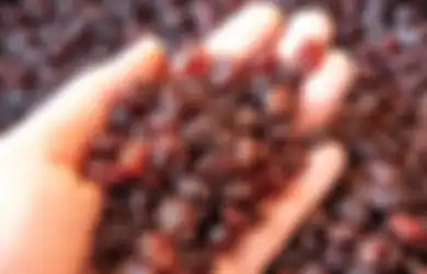 4 Buah dengan Kandungan Gula Tinggi. Jangan Kebanyakan Makannya!