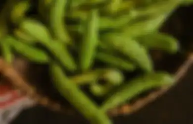 Jangan Sampai Kecolongan, Orang dengan Kondisi Ini Ternyata Dilarang Keras Makan Pare, Efeknya Fatal untuk Kesehatan