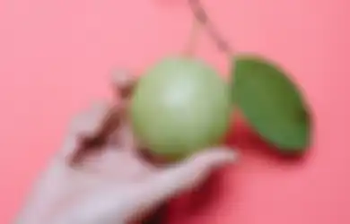 Kolesterol Tinggi Terhempas Pergi Hanya dengan Ramuan Daun Ini, Bisa Jadi Pendamping Pengobatan Medis