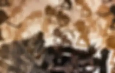Yogya Bangkit, Fotografi Wayang dan Kreativitas Batik Jadi Pemantik