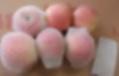 Jaring-jaring Pembungkus Buah Tak Dilirik dan Dianggap Sampah, Siapa Sangka Ternyata Punya Manfaat Luar Biasa