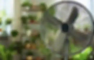 Dijamin Bikin Seisi Rumah Loncar Kegirangan, Ternyata Begini Trik Mudah Buat Hembusan Udara Kipas Angin Jadi Seperti AC