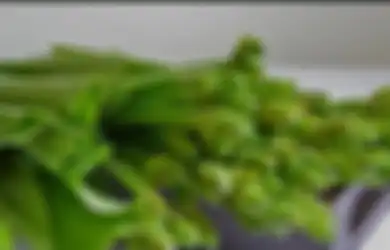 Selama ini Dikira Cuma Tanaman Hama Liar, Siapa Sangka Makan Daun Genjer Tubuh Bakal Rasakan Hal Menakjubkan ini