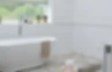 Hati-hati! Jangan Pernah Simpan 4 Barang Ini di Kamar Mandi, Sikat Gigi Salah Satunya
