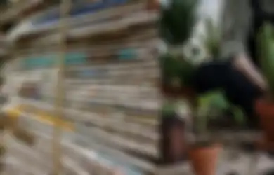 Biasanya Masuk Tempat Sampah, Siapa Sangka Koran Bekas Miliki Manfaat Tak Terduga untuk Tanaman, Bisa Jadi Kompos