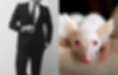 Pria Ini Nikahi Tikus yang Ditemui di Depan Pintu, Alasan di Balik Tindakan Tak Lazimnya Itu Sungguh Mencengangkan, Kisah Selanjutnya Mengejutkan