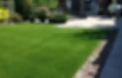 Ingin Menggunakan Rumput Sintetis? Pertimbangkan Dulu Pro dan Kontra Ini!