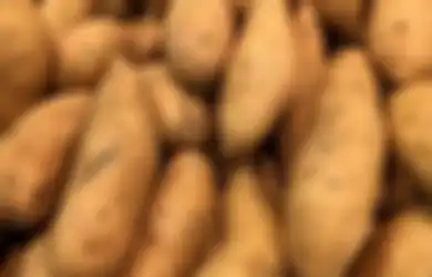 Dijamin Sederet Manfaat Luar Biasa Ini akan Kamu Rasakan, Coba deh Mulai Besok Rutin Makan Ubi Jalar tiap Pagi
