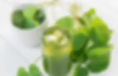 Tak Ada Salahnya Coba Minum Air Rebusan Daun Pegagan, Ternyata Ampuh Turunkan Darah Tinggi, Begini Cara Membuatnya