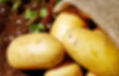 Jadi Salah Satu Makanan Pokok Banyak Orang, Umbi-umbian Ini Ternyata Mengandung Racun, Jangan Makan Berlebihan