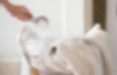 Dikira Habis Dibawa ke Laundry, Ternyata Noda Tinta dan Bercak Saos di Baju Hilang dalam Sekejap dengan Bahan Rumahan