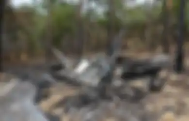Jadi Jet Tempur Kebanggaan AS, Sebuah Dokumen Ungkap F-22 dan F-35 Alami Kecelakaan Tragis Dalam Waktu Berdekatan, Apa Penyebabnya?