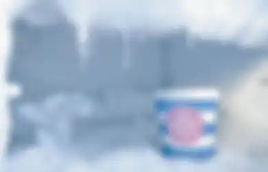 Ngapain Repot-repot Panggil Tukang Servis, Ternyata Begini Cara Mudah dan Cepat Hilangkan Bunga Es di Freezer