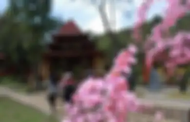 Cocok Dikunjungi  di Akhir Pekan, Inilah 5 Tempat Wisata Tawangmangu, Bisa Bersantai Sambil Nikmati Pemandangan Sekitar