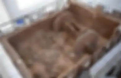 Sebuah Ladang Gandum Super Subur Ini Bikin Penasaran, Begitu Digali Ternyata Terdapat Makhluk dan Benda yang Menggegerkan di Dasar Tanahnya