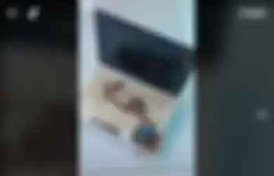 Viral Video Laptop Jadi Sarang Semut, Kondisinya Mengenaskan!