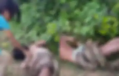 Ular Piton Melilit Tubuhnya, Sebagian Badan Bocah Ini Hampir Saja Remuk, yang Terjadi Selanjutnya Tak Disangka hingga Terkuak Fakta Ini