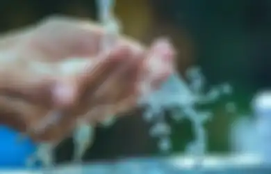 Jawaban Bagaimana Kualitas Air yang Dapat Digunakan untuk Menyiram Tanaman