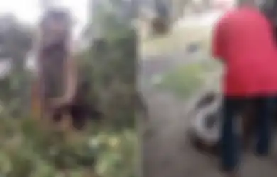 Geger! Ular Raksasa Sebesar Alat Berat Ini Berhasil Ditemukan di Tengah Hutan, Penampakan Tubuhnya Saat Dievakuasi Bikin Merinding