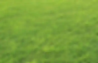 Keberadaannya Bikin Penampilan Rumah Makin Cantik, Simak 4 Cara Jaga Kesehatan Rumput Agar Tetap Hijau nan Subur