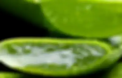Digandrungi Jutaan Wanita, Benarkah Aloe Vera Bisa Atasi Flek Hitam?