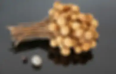 Kemana Saja Baru Tahu Sekarang, Makan Buah Kelengkeng Ternyata Bisa Atasi Penyakit yang Sering Diidap Generasi Milenial ini