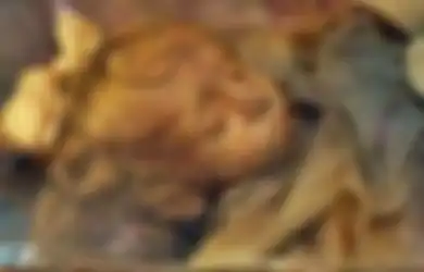 Lebih Cantik dari Mumi Mesir Firaun, Inilah Mumi Tercantik di Dunia, Wajahnya Utuh Bak Orang Tidur Meski Sudah Meninggal Ribuan Tahun Lalu, Misteri di Baliknya Mengejutkan