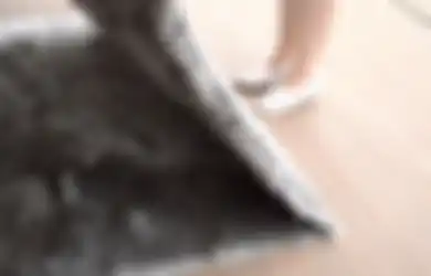 Cara Merawat Karpet Shag agar Bulu Panjangnya Tetap Cantik dan Empuk