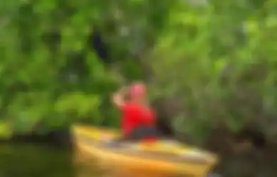Jawaban Apa Saranmu Agar Hutan Bakau Tetap Lestari Kelas 4 SD Tema 4