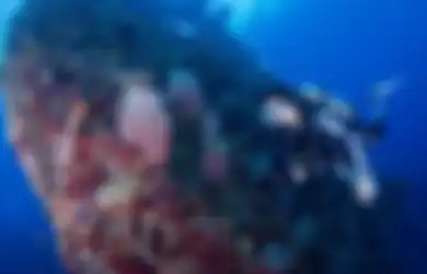 Foto Gisel Nyelam di Bali Dapat Respons Berbeda, Ini Alasan Janda Gading Marten Ogah Tutup Kolom Komentar
