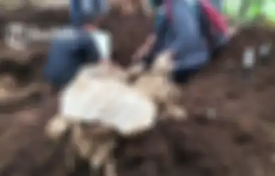 Merinding! 2 Buntelan Misterius Ini Ditemukan Seorang Penggali Tanah di Situs Watugenuk Boyolali, Isinya Diduga Berkaitan dengan Ilmu Hitam