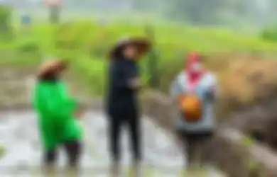 Ikut Turun ke Sawah, Aksi Puan Maharani Tanam Padi di Tengah Hujan Tuai Sorotan Warganet, Susi Pudjiastuti hingga Fadli Zon Beri Komentar Menohok!