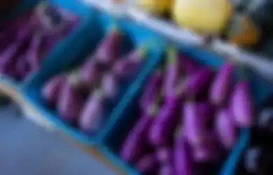 Jawaban Contoh Tumbuhan yang Berkembang Biak Secara Generatif 