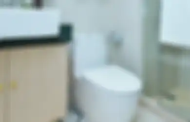 Nggak Perlu Repot-repot Panggil Tukang Sedot WC, Kloset Mampet Ternyata Bisa Diatasi dengan Bahan Murah Meriah Ini