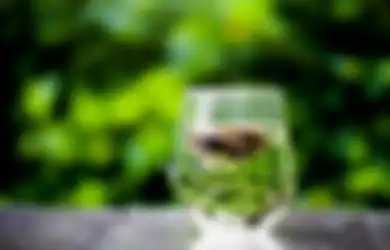 Gak Usah Tambahkan Gula, Mulai Sekarang Coba Rutin Minum Teh Tawar, Siapa Sangka Bisa Bikin Tubuh Sehat Tanpa Terserang Penyakit Mematikan Ini