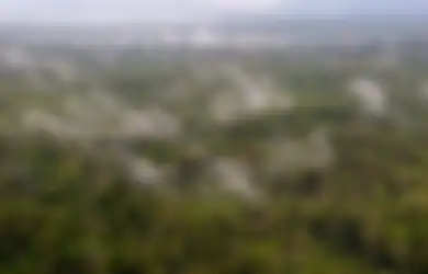 NASA Rilis Foto Satelit Kondisi Hutan di Papua, Makin Gundul!