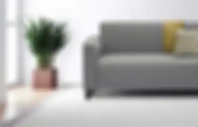 Sofa Nara 2 Seater Pelengkap Kehangatan Tampilan Ruang Keluargamu