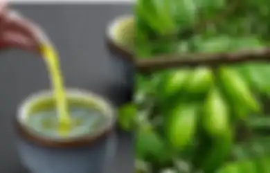 Iseng Rutin Minum Air Rebusan Belimbing Wuluh Bisa Jadi Kunci Hidup Panjang Umur, Penyakit Kronis dan Mengerikan ini Dapat Tertangani