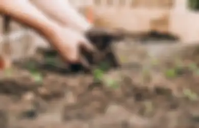 Jawaban Kewajiban Sebagai Warga Negara Terhadap Lingkungan Alam 