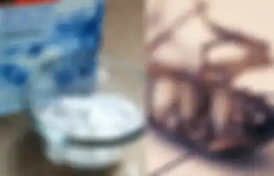 Tak Perlu Nekat Menyentuhnya, Pakai Saja Campuran Baking Soda dan Gula untuk Membasmi Kecoak dari Rumah, Ini yang Akan Terjadi