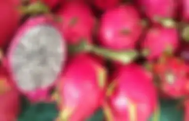 Jangan Mau Ditipu Pedagang Nakal, Intip Rahasia Pilih Buah Naga dengan Kualitas Super, Emak-emak Wajib Tahu Biar Gak Nyesel!