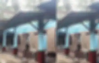Edan! Demi Manjakan Wanita Pujaan Hati, Pemuda di Bantul Nekat Jual Semua Perabot Rumah, Mulai dari Daun Pintu hingga Genteng, Begini Penampakannya!